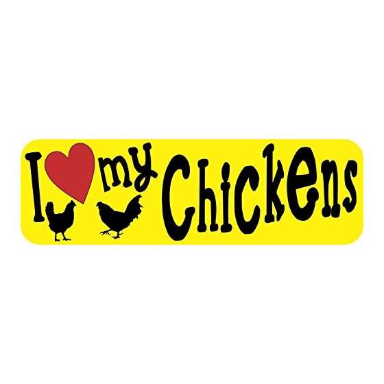 10In X 3In I Love My Chickens Bumper Sticker Vinyl