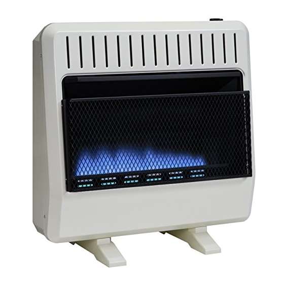 Dual Fuel Vent Free Blue Flame Heater - 30,000 BTU