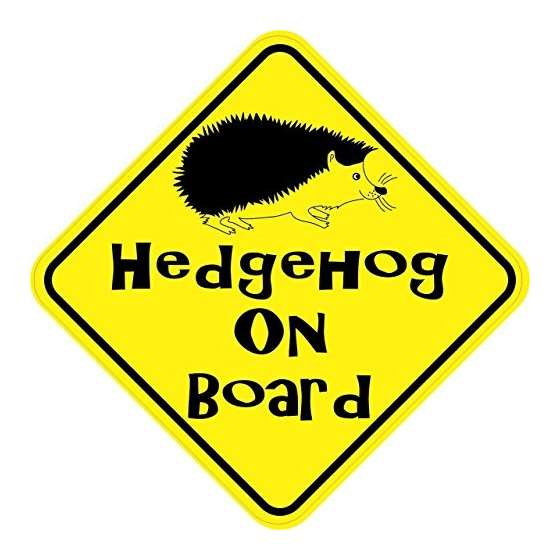 5In X 5In Hedgehog On Board Hedgehog Sticker Decal