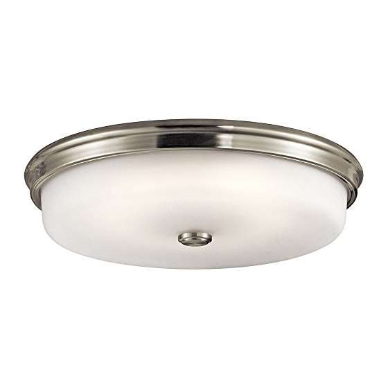 43876NILED Close To Ceiling Light Fixture