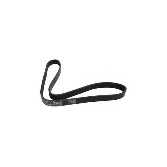 Serpentine Belt 6PK1560 11281735190 BMW More