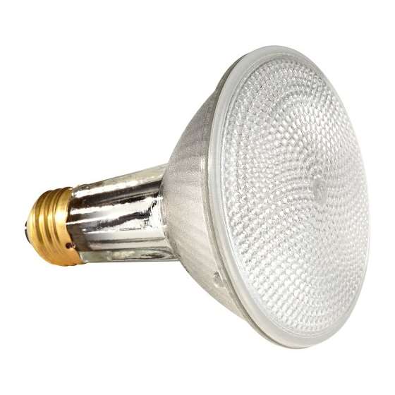 14768 75-Watt PAR30 Wide Flood Long Neck Halogen L