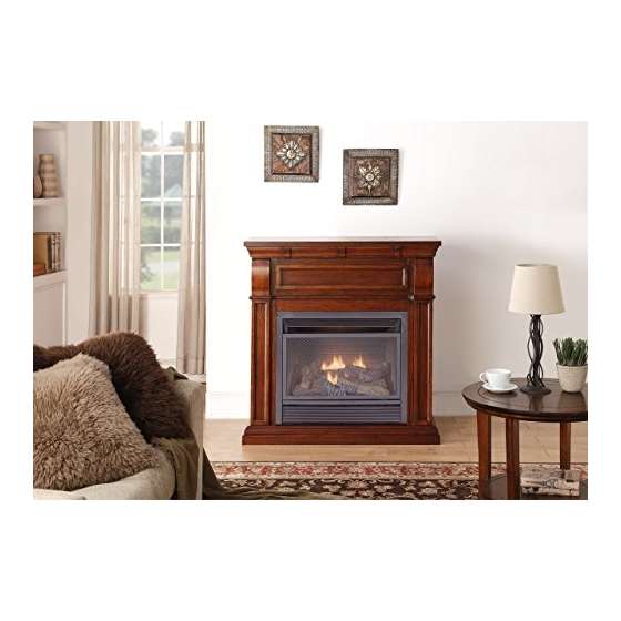 Dual Fuel Vent Free Fireplace - 26,000 BTU, Remo-3