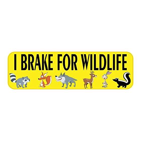 10 And X 3 And I Brake For Wildlife Bumper Sticker