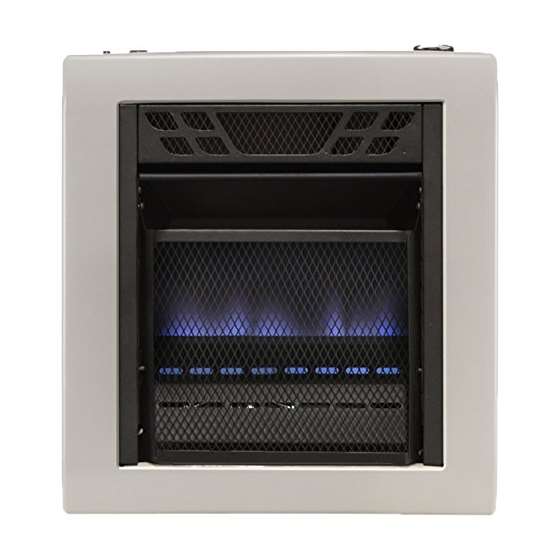 Dual Fuel Vent Free Blue Flame Heater - 10,000 BTU