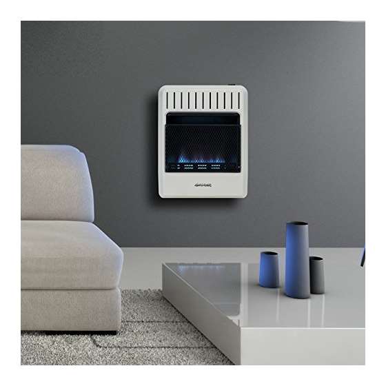 Dual Fuel Vent Free Blue Flame Heater - 20,000 B-3